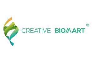 Creative BioMart Shirley New York USA